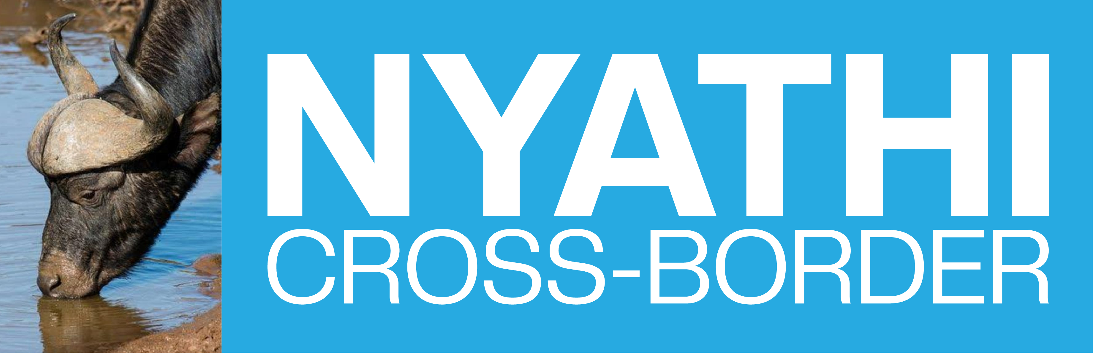 nyathi crossborder logo